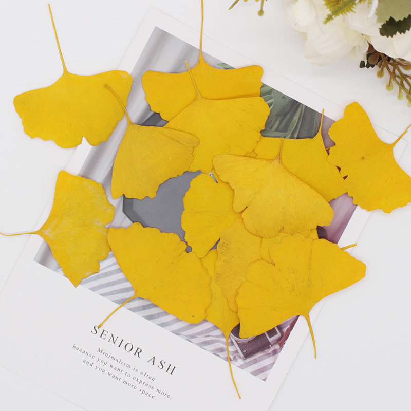 60 Pezzi di Foglie di Ginkgo B - Yellow Phone Accessories recensione e prezzo